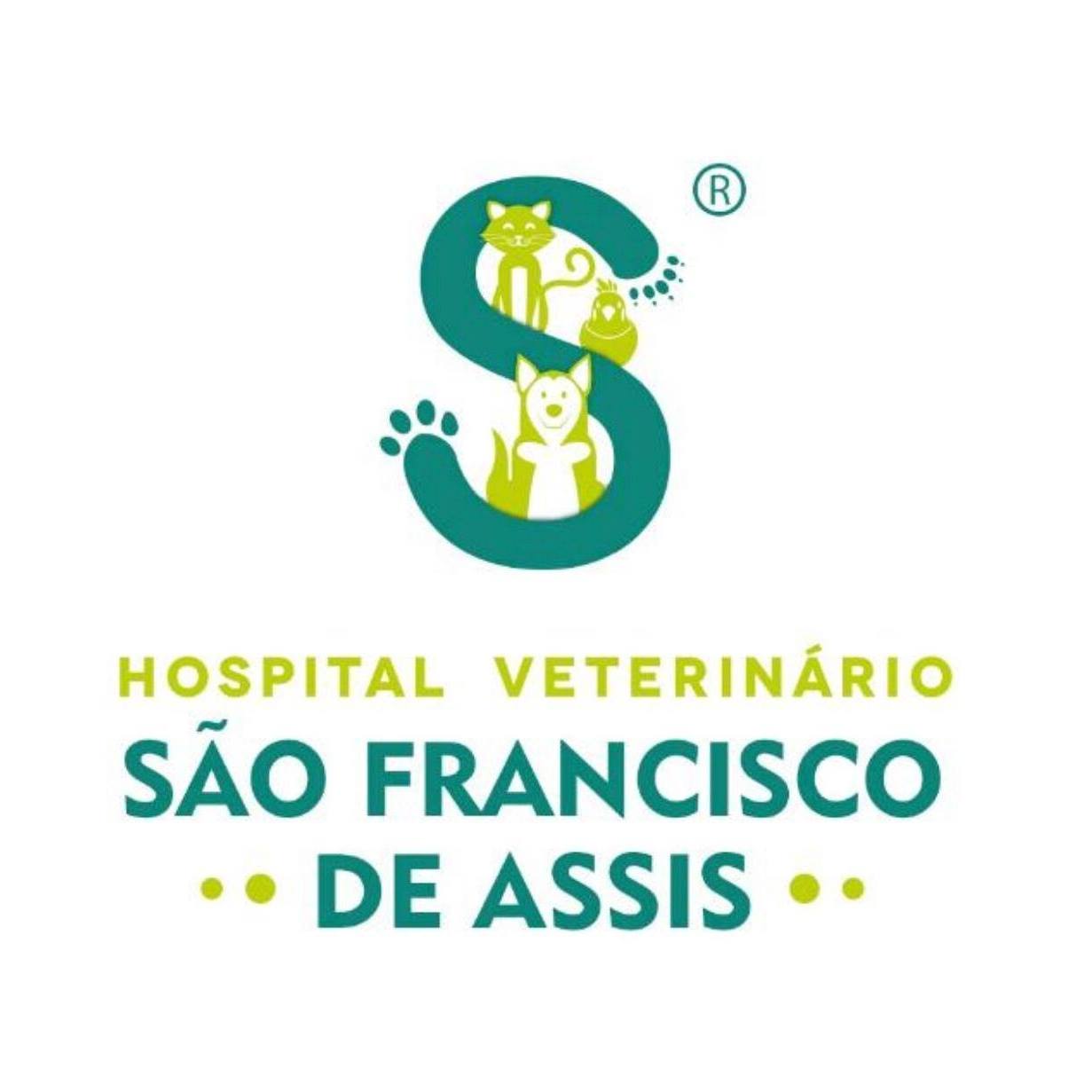 Avatar do(a) Hospital Veterinário São Francisco de Assis
