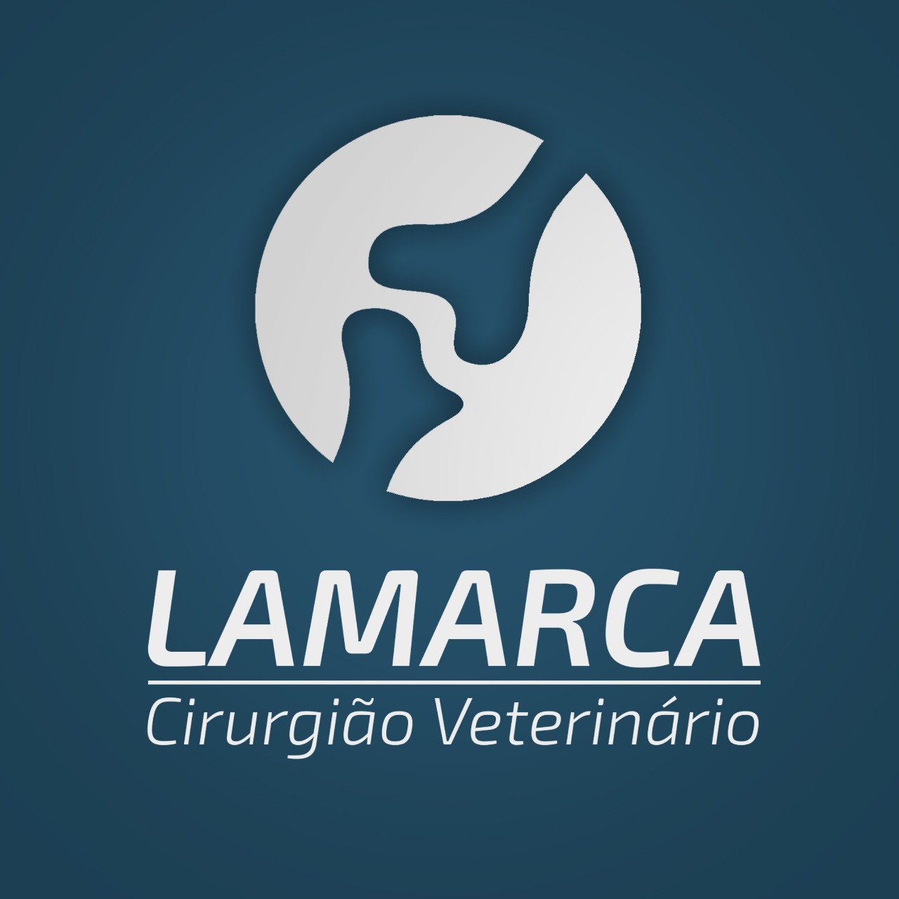 Lamarca Ortopedia Veterinária, Ortopedia em Franca