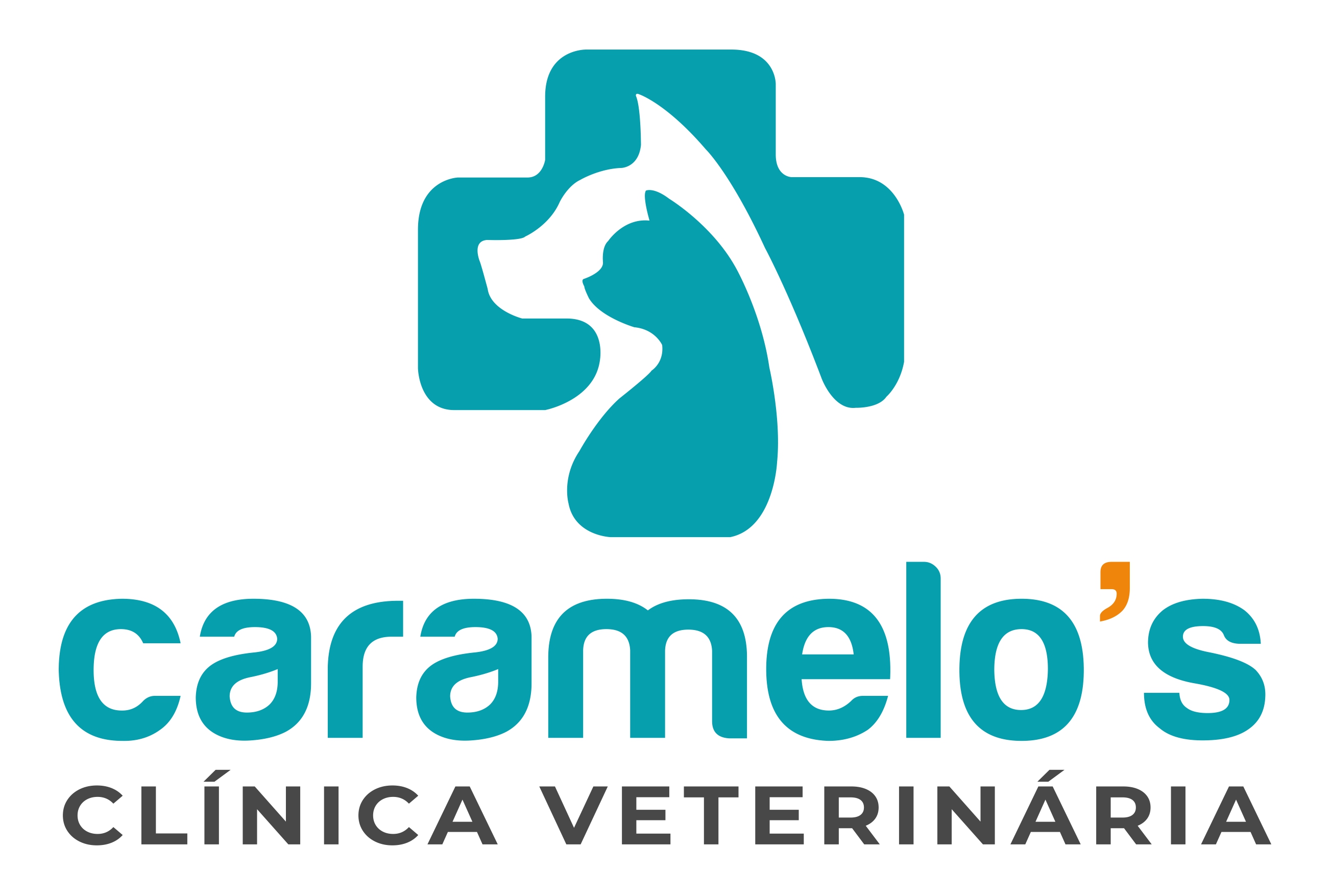 Caramelo's, Clínica com cirurgia em São Bernardo do Campo