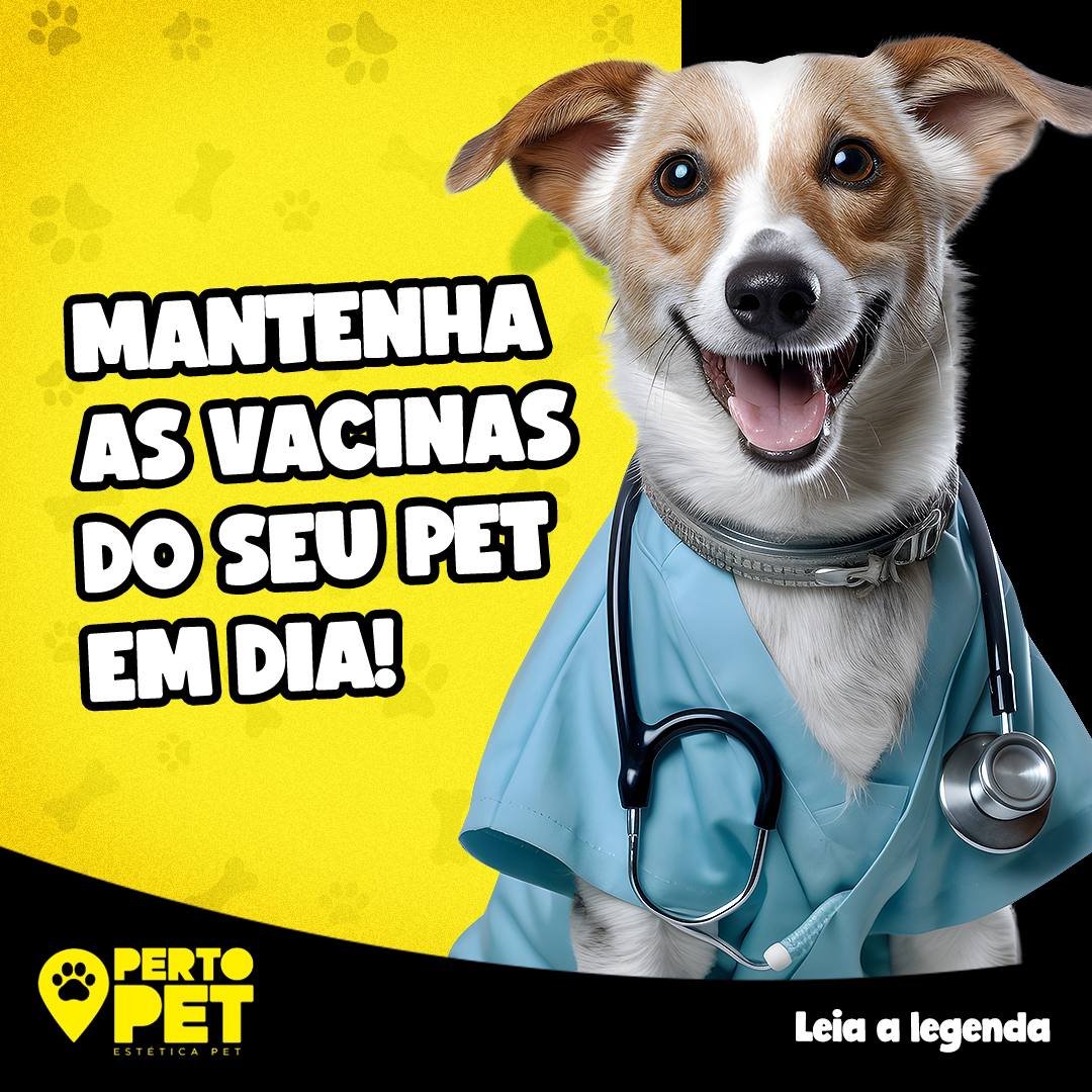 Perto Pet Barueri, Clínica em Barueri