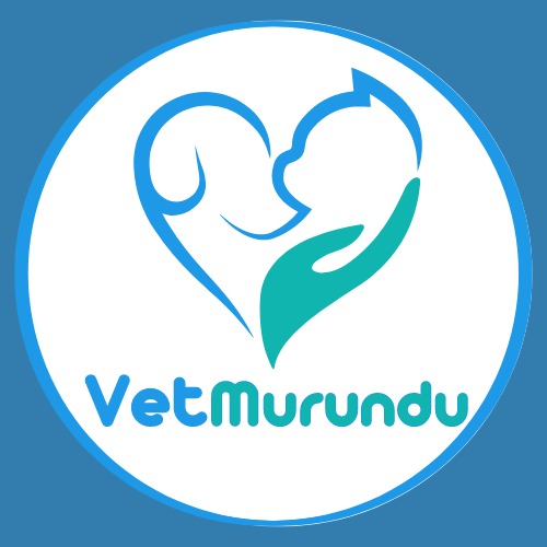 Vet Murundu, Clínica em Rio de Janeiro