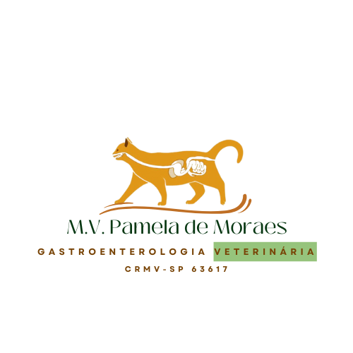 Dra. Pamela de Moraes, Gastroenterologia em Limeira