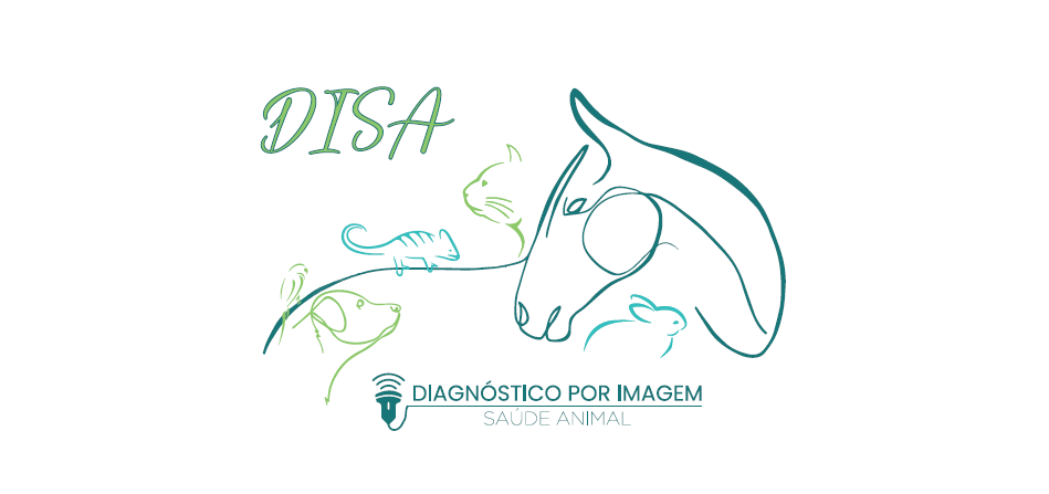 DISA - Diagnóstico por Imagem Saúde Animal, Ultrassom em Holambra