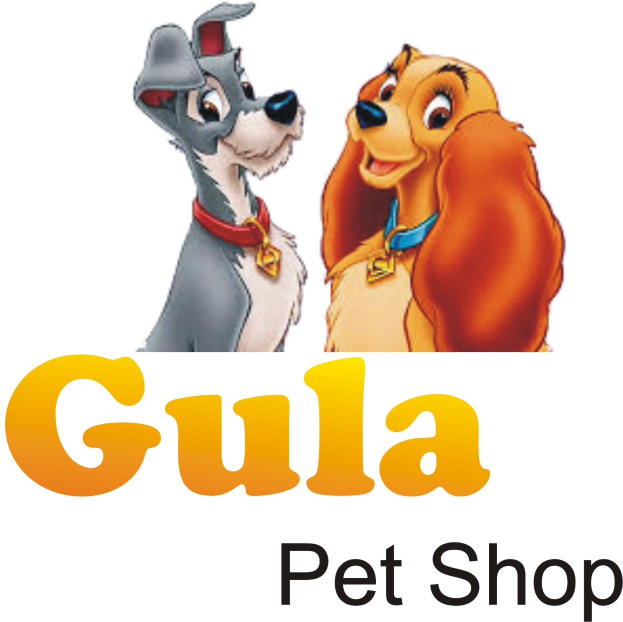 Gula Petshop e Clínica Veterinária, Consultório em Várzea Grande