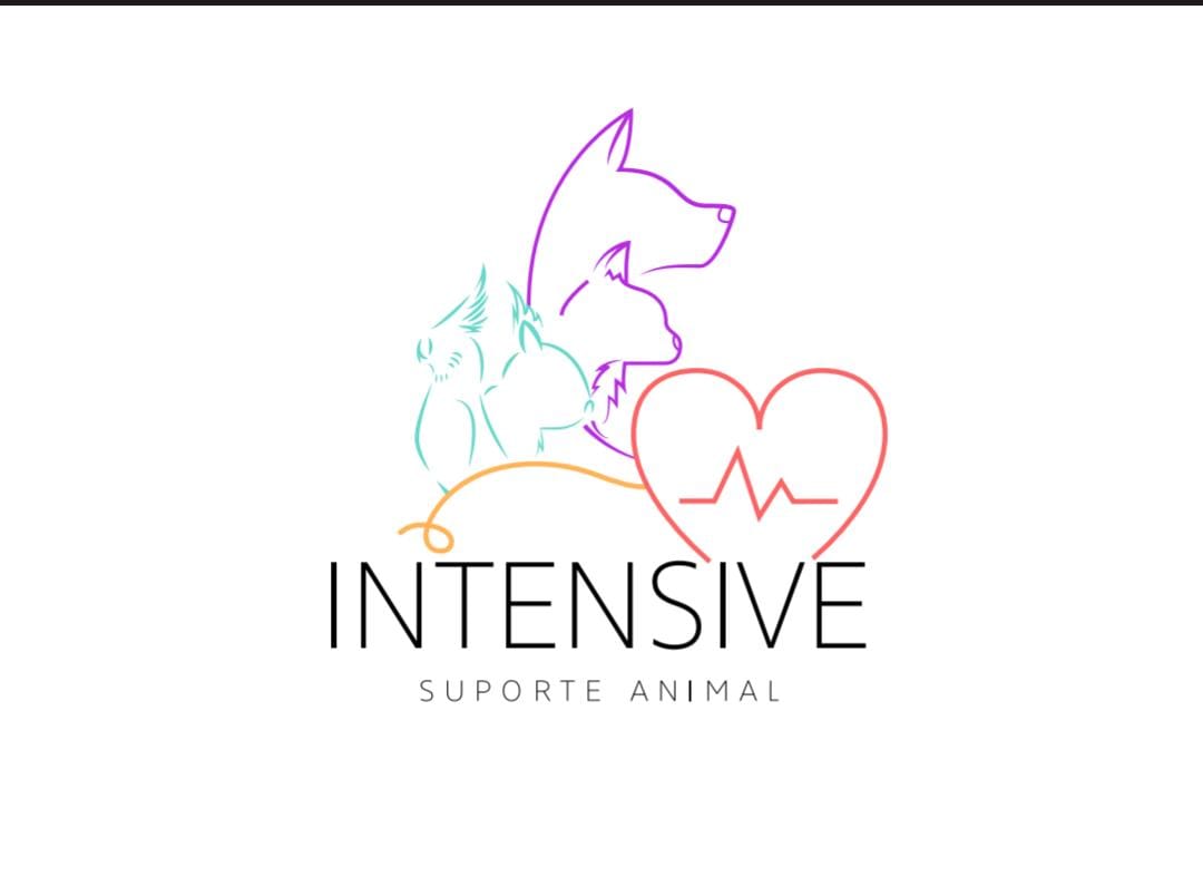 Intensive Suporte Animal, Felinos em São Paulo