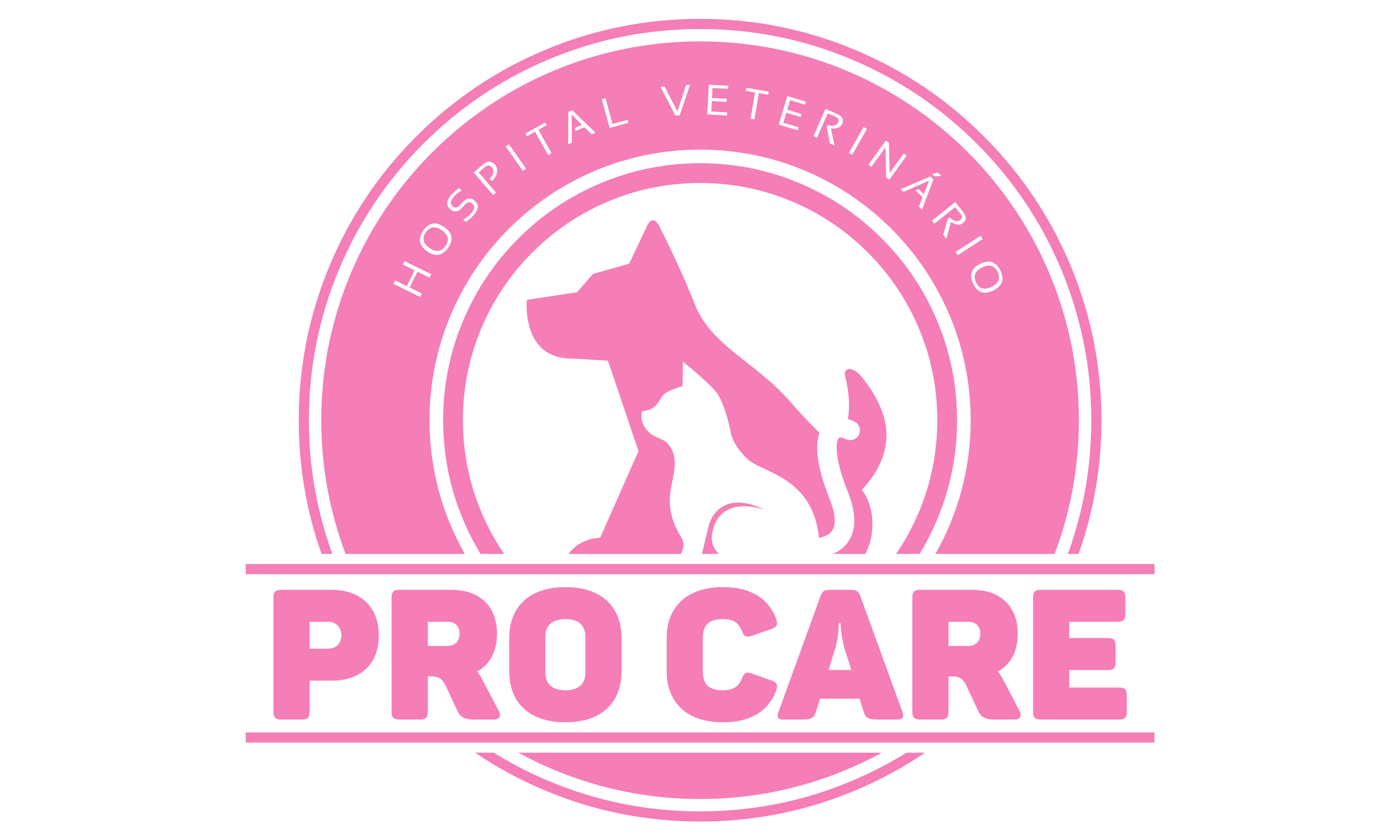 Pro Care Hospital Veterinário 24 Horas, Clínica 24h em São Paulo