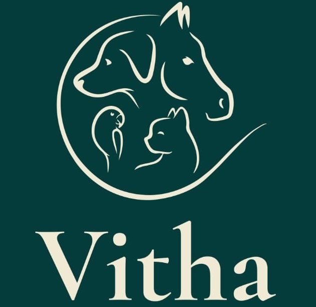 Vitha, Clínica com cirurgia em Osasco