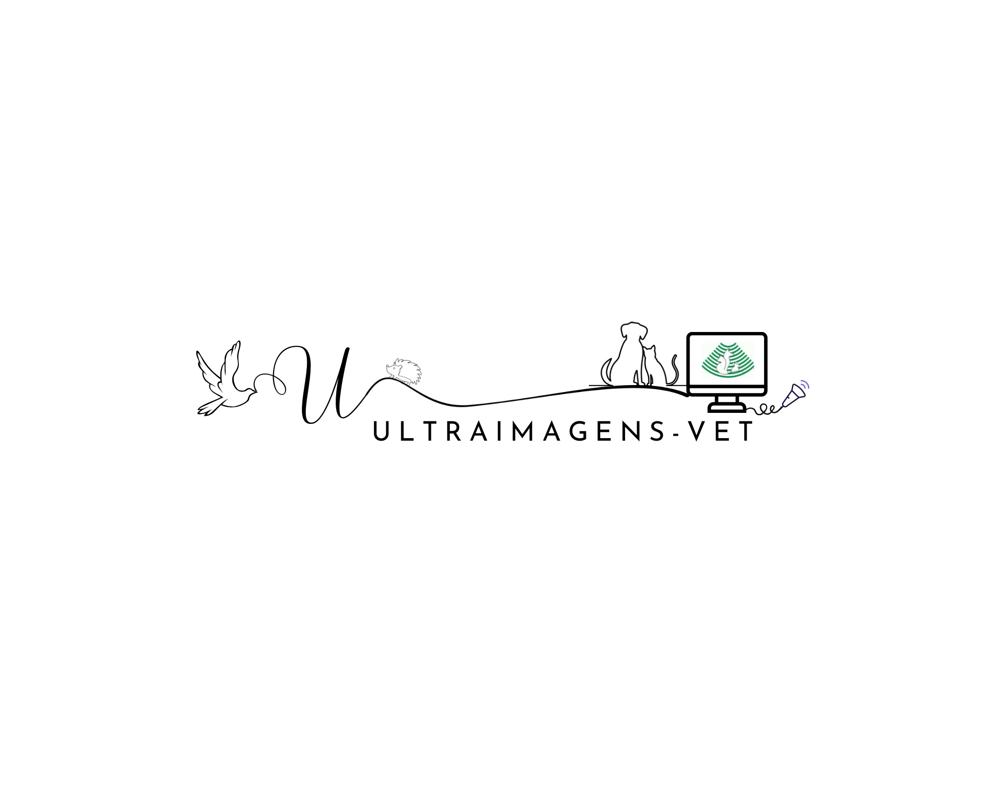 Ultraimagens-vet, Ultrassom em Campo Grande