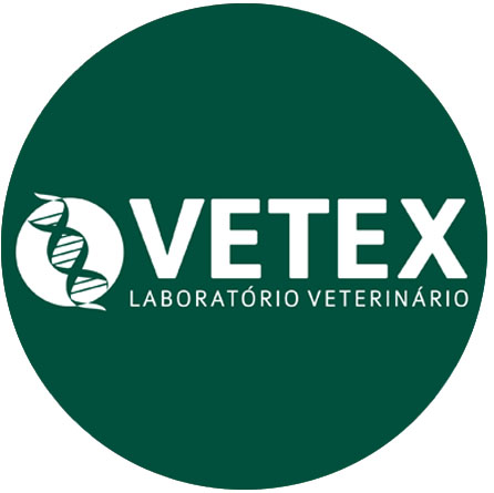 Vetex São Paulo, Laboratório em São Paulo