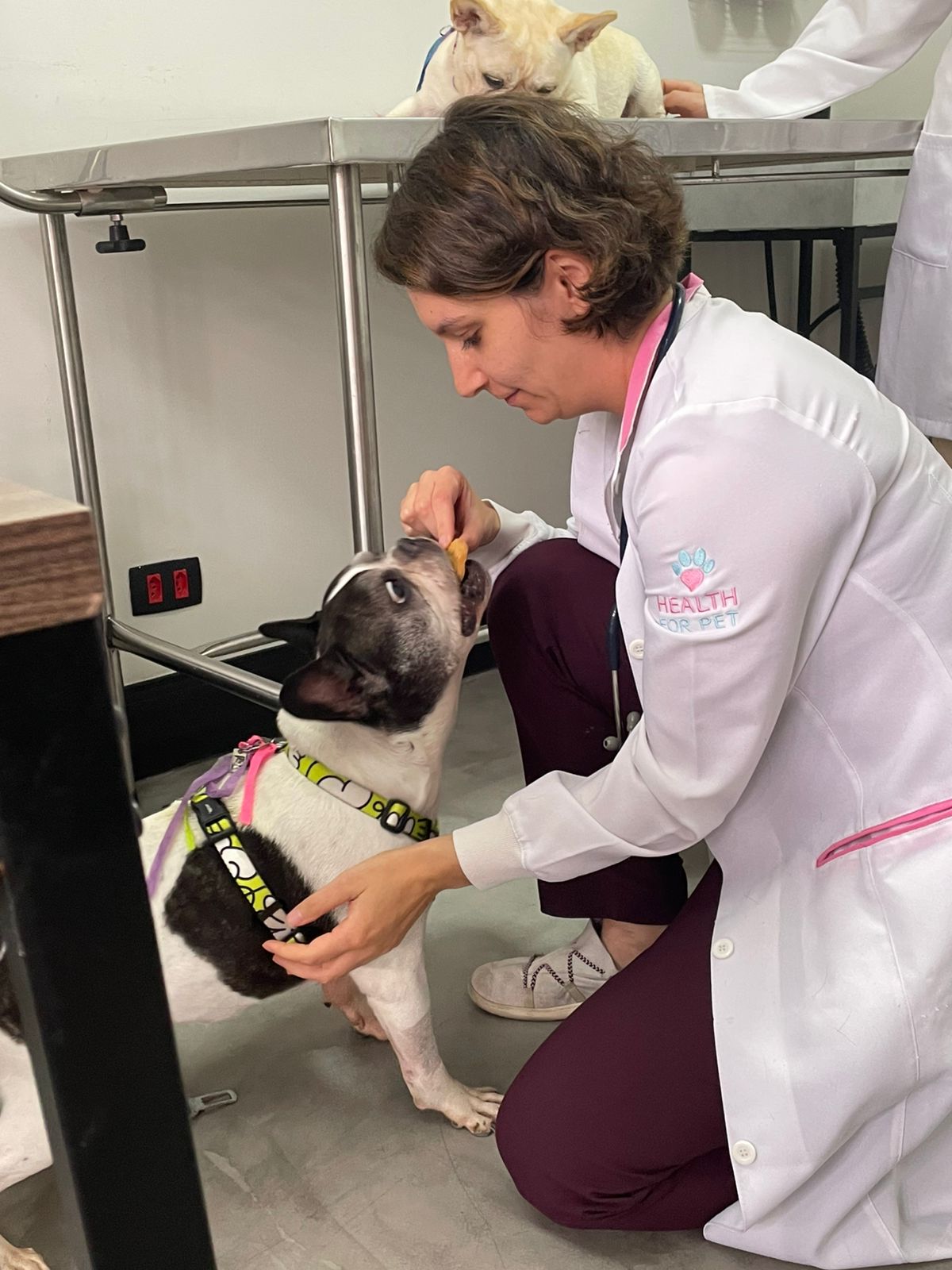 Instituto Avançado de Oncologia Veterinária, Oncologia em São Paulo