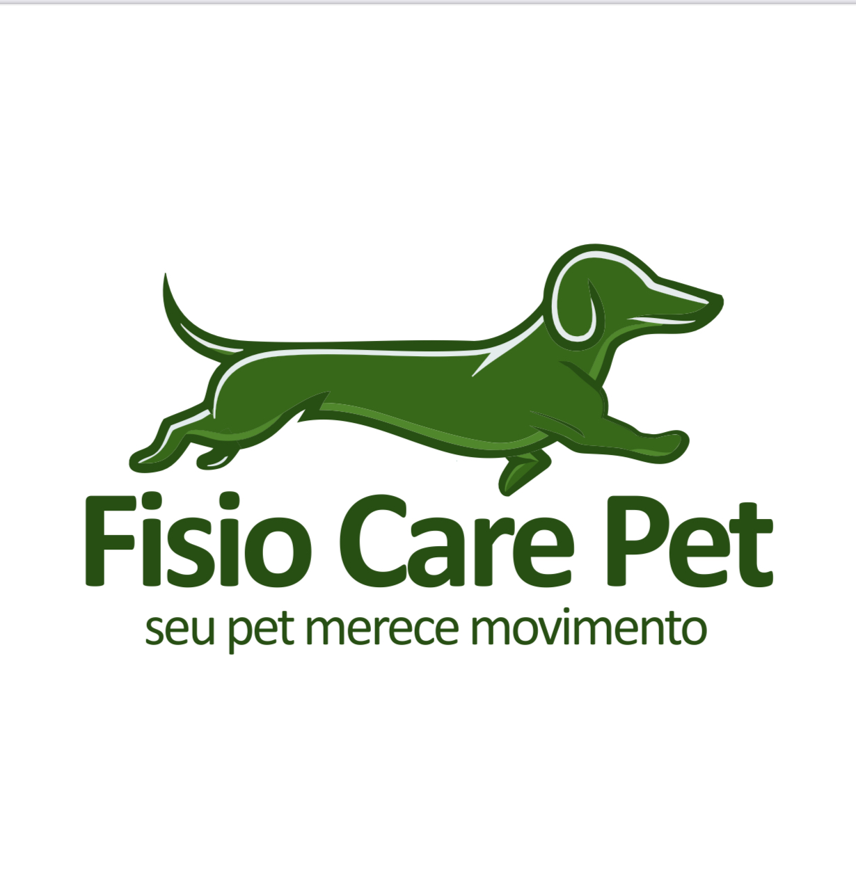 Rede Internacional Fisio Care Pet Diadema (fisioterapia e acupuntura), Fisio e/ou Acupuntura em Diadema