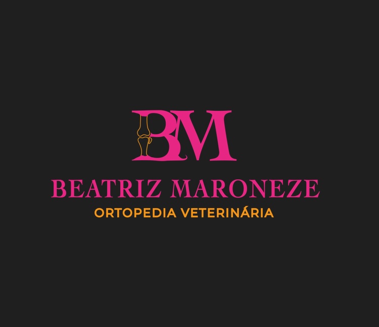 Avatar do(a) Dra. Beatriz Maroneze - Ortopedia Volante