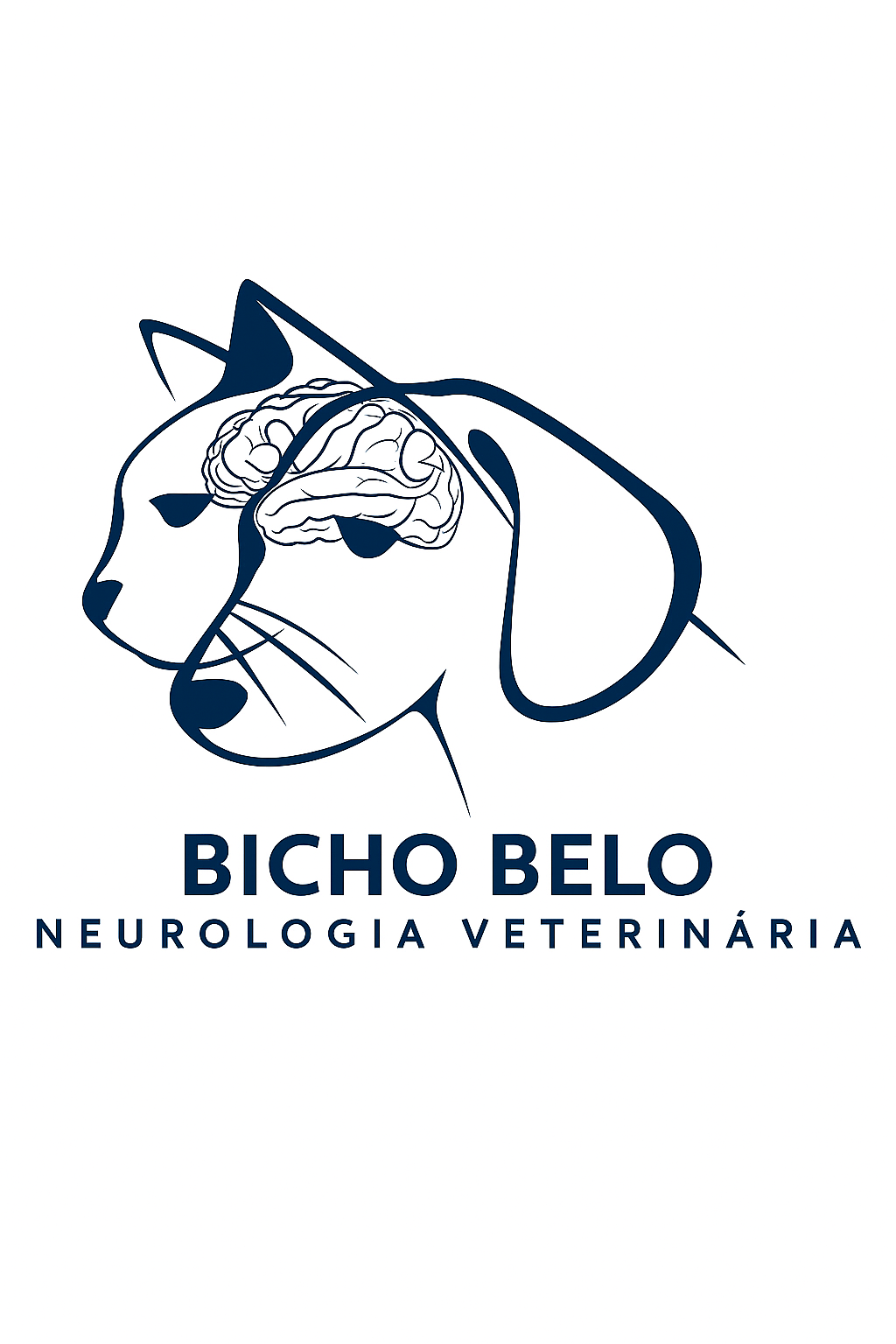 M.V Pedro Bicho Belo, Neurologia em São Paulo
