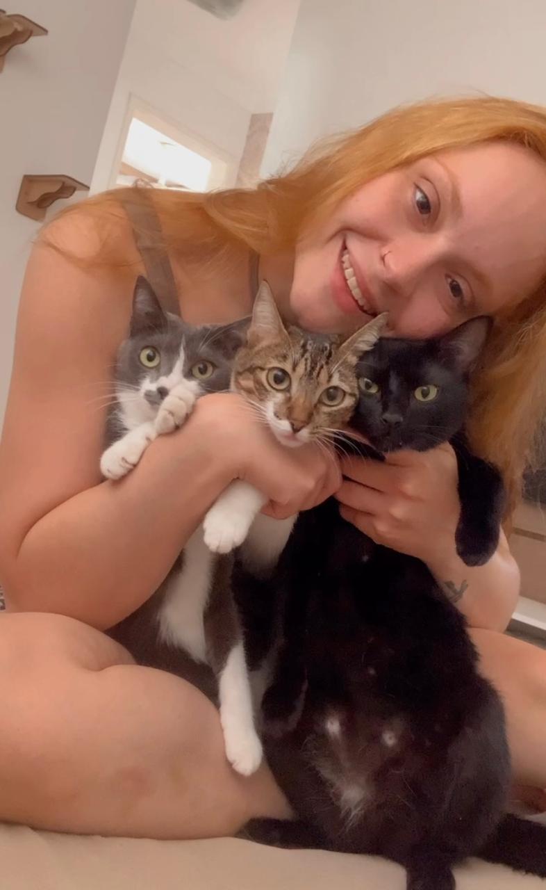 Dra. Stefane Ocanha Ziamel, Felinos em Campinas