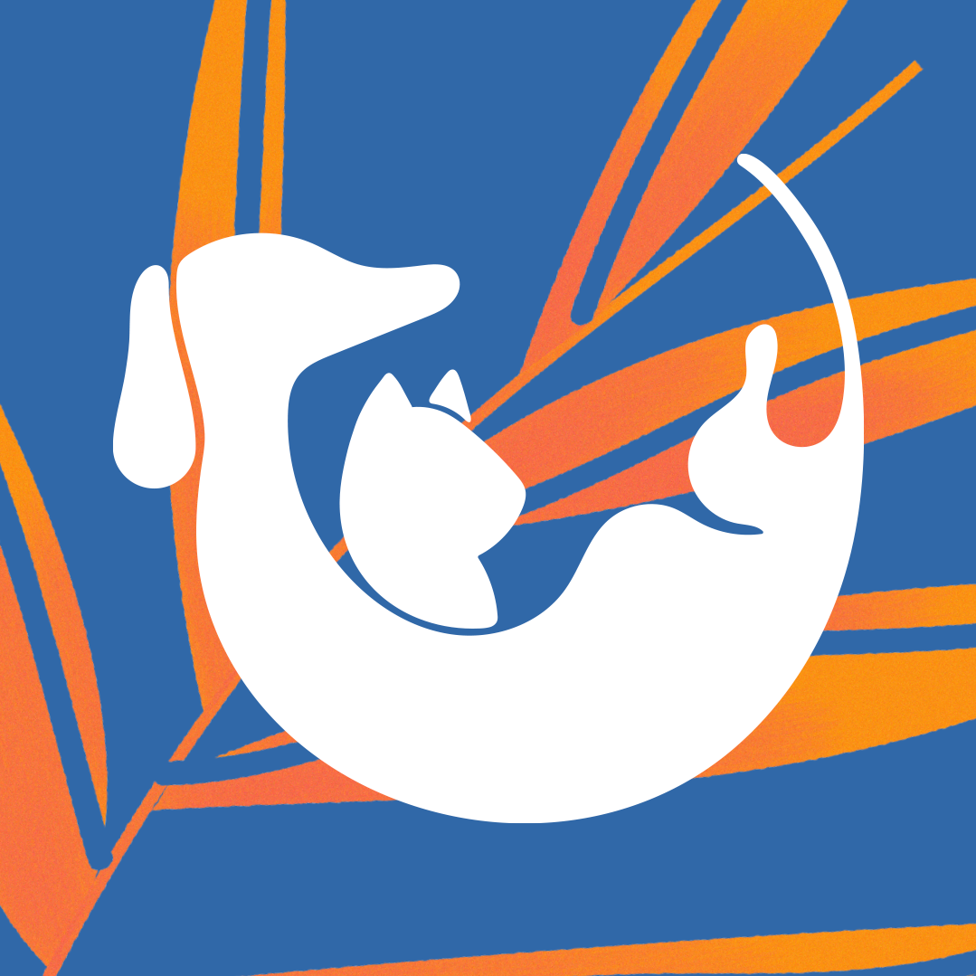 London Pet, Consultório em Londrina