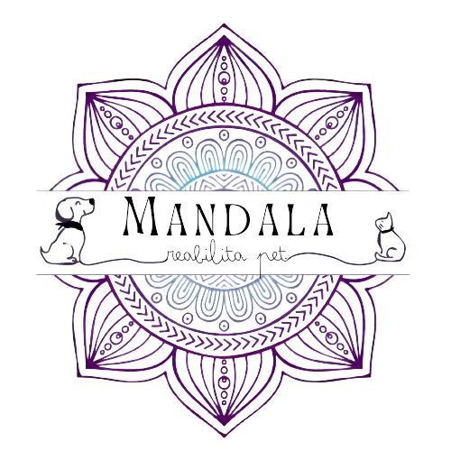 Mandala Reabilita Pet, Fisio e/ou Acupuntura em São Paulo