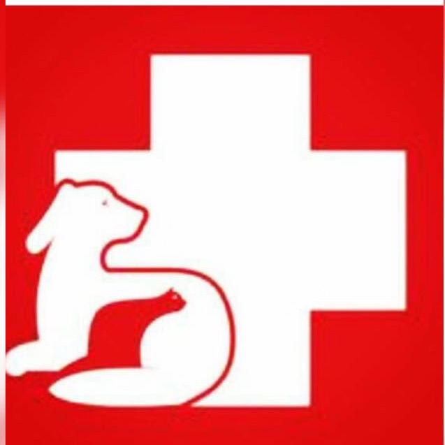 Avatar do(a) Centro Veterinario Pacaembu