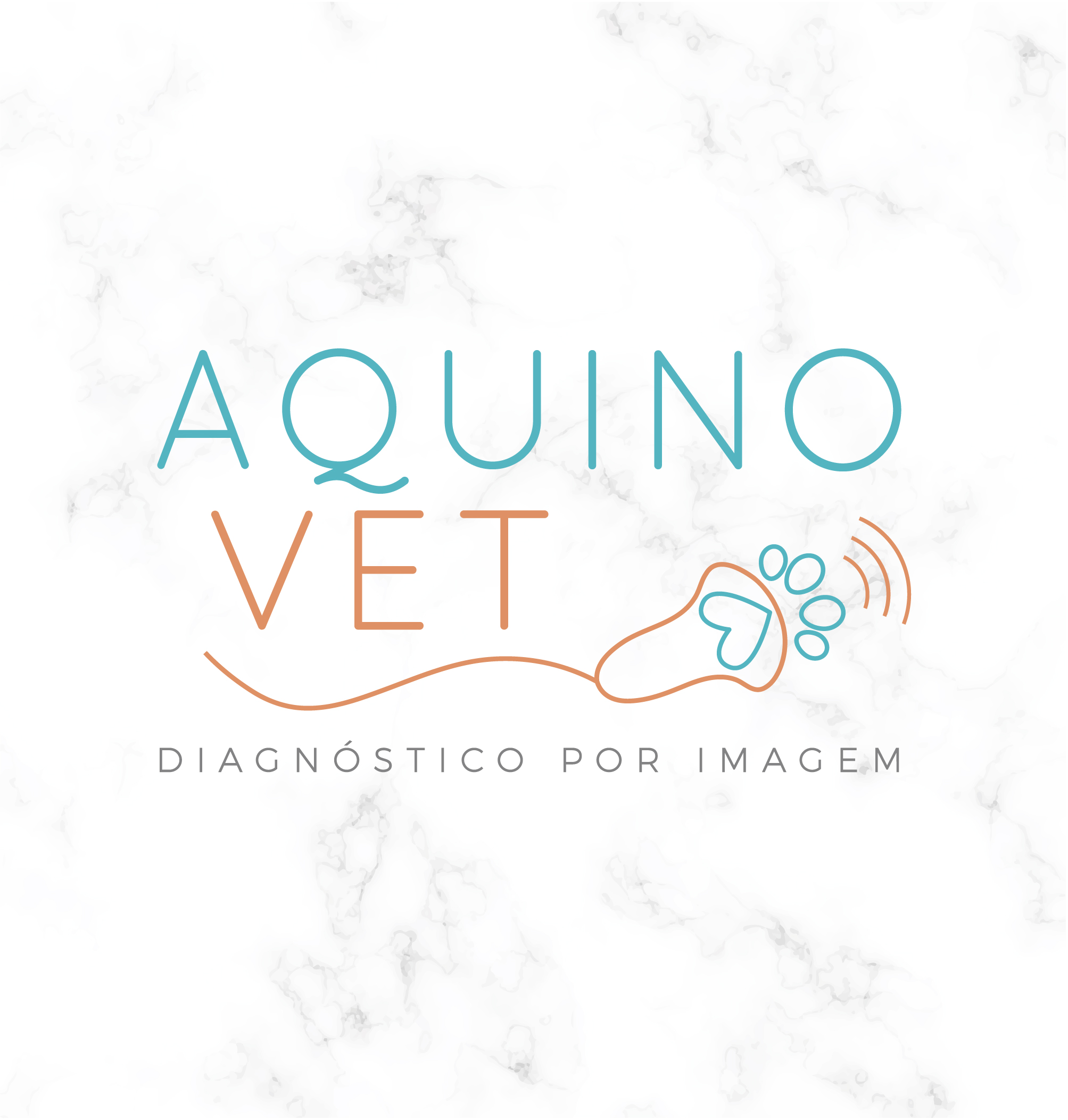 Avatar do(a) Aquino Vet