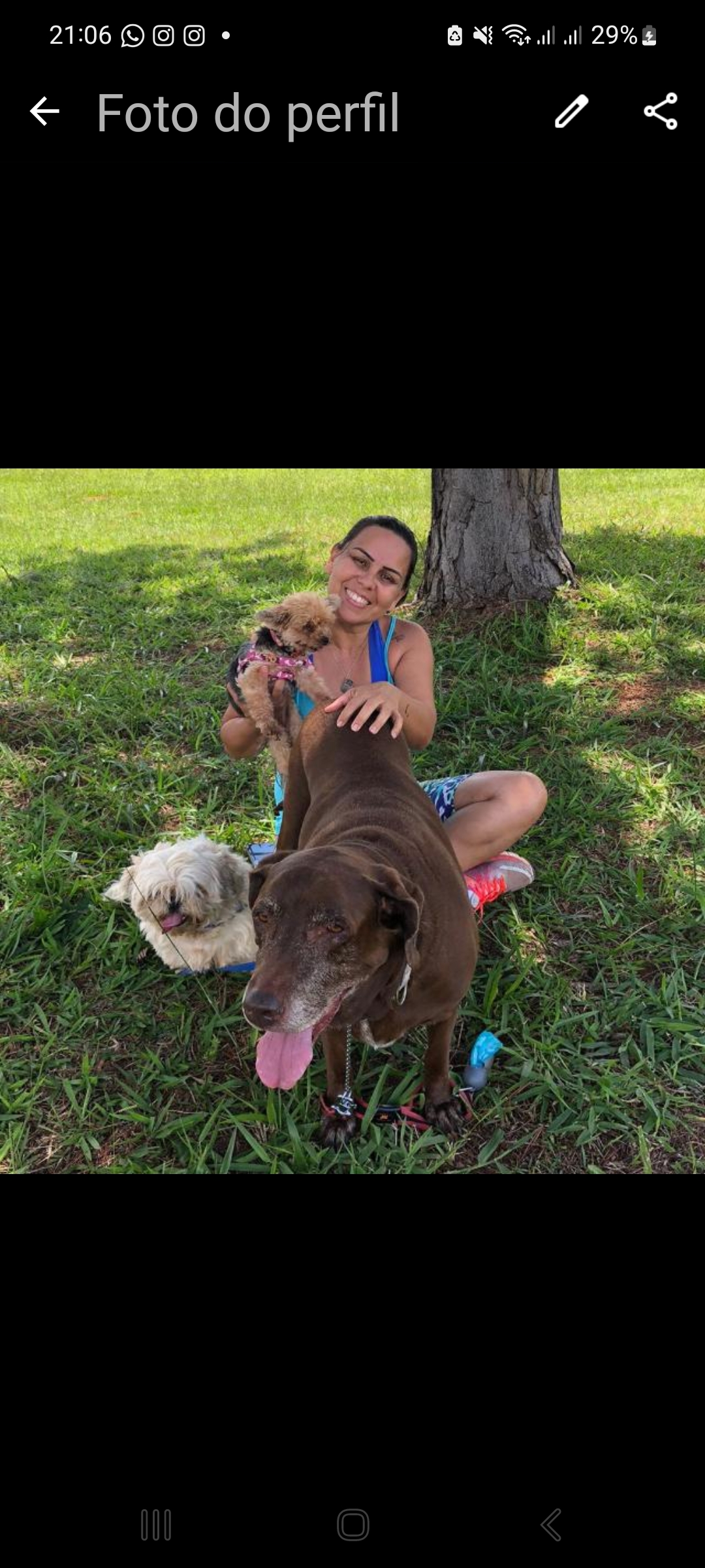 Dra. Karina Costa de Alencar, Veterinário a Domicílio em Brasília