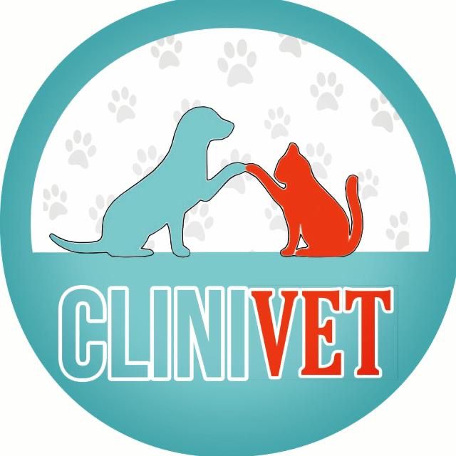 Clinivet Serviços Veterinários, Clínica em São Bernardo do Campo