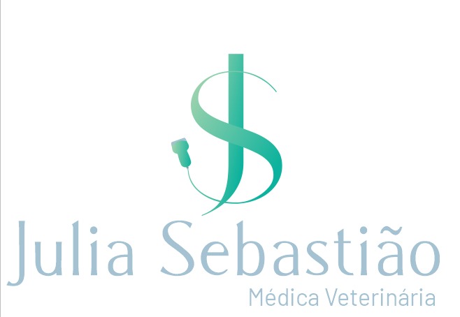 Dra. Julia Sebastião, Ultrassom em Guaíba
