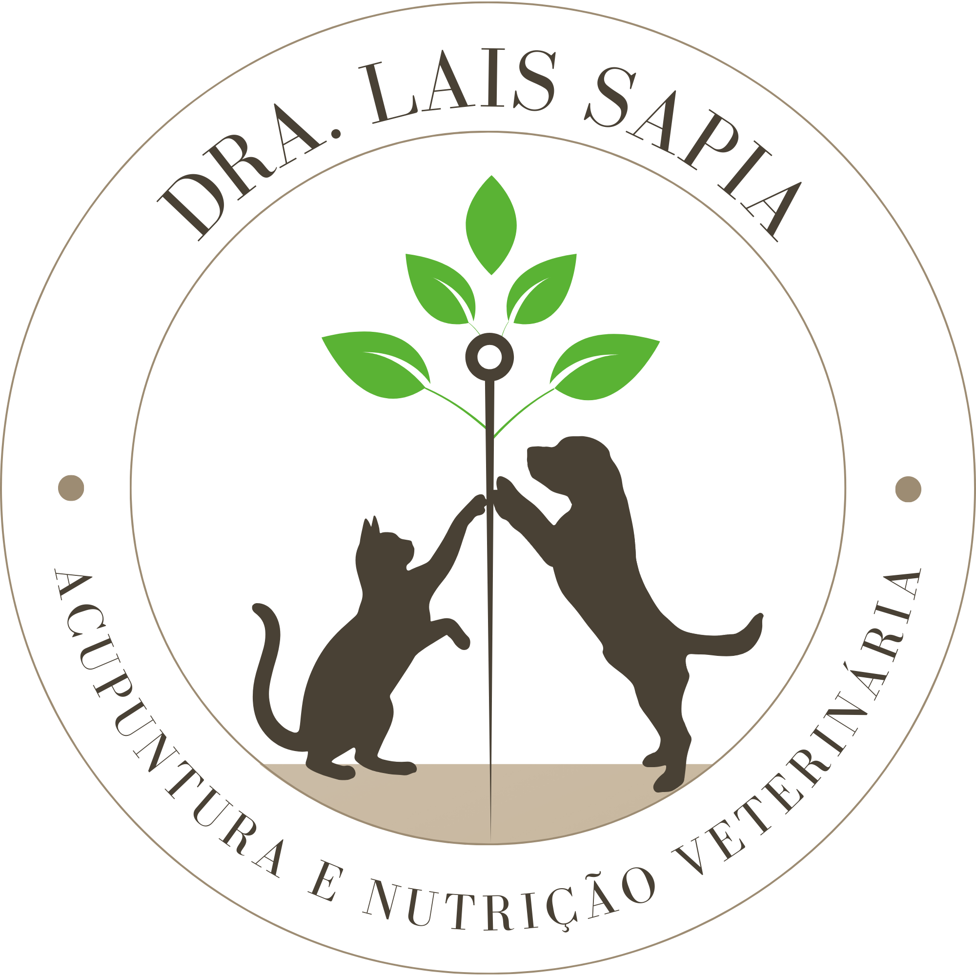 Dra. Lais Sapia, Fisio e/ou Acupuntura em São Paulo