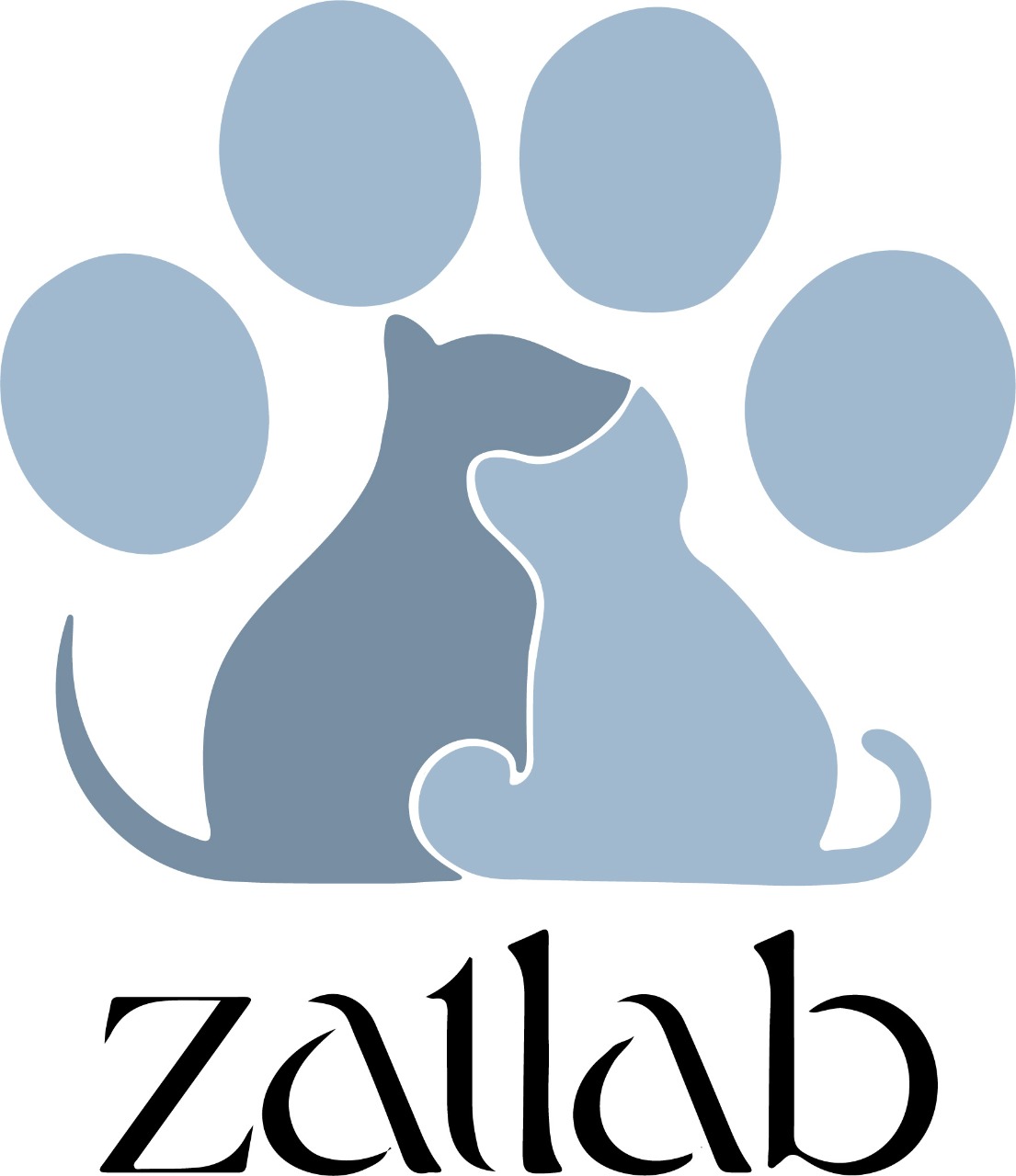 Zatlab, Laboratório em São Paulo