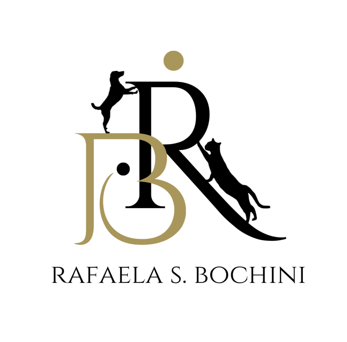 Dra. Rafaela Bochini, Fisio e/ou Acupuntura em Campinas