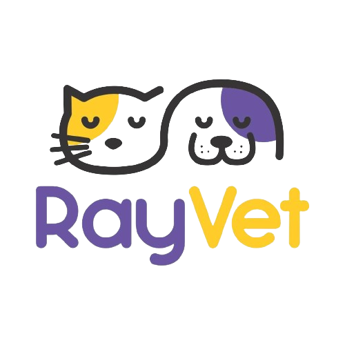 RayVet, Consultório em Juazeiro do Norte