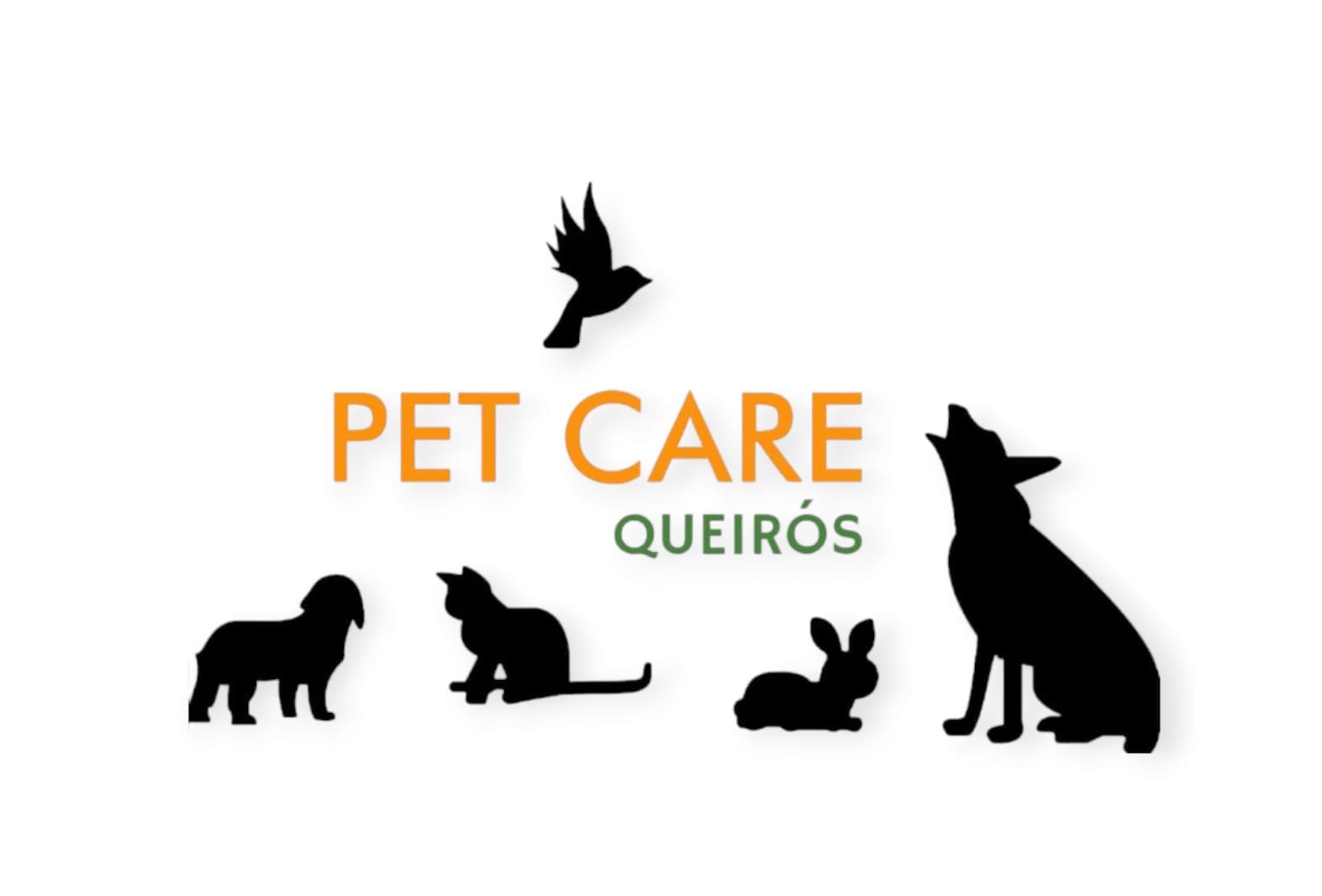 Pet Care Queiros, Consultório em Santo André