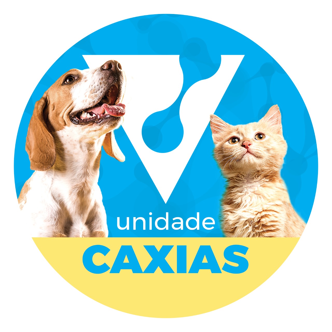 Avatar do(a) Laboratório Vetis - Centro de Análises Veterinárias