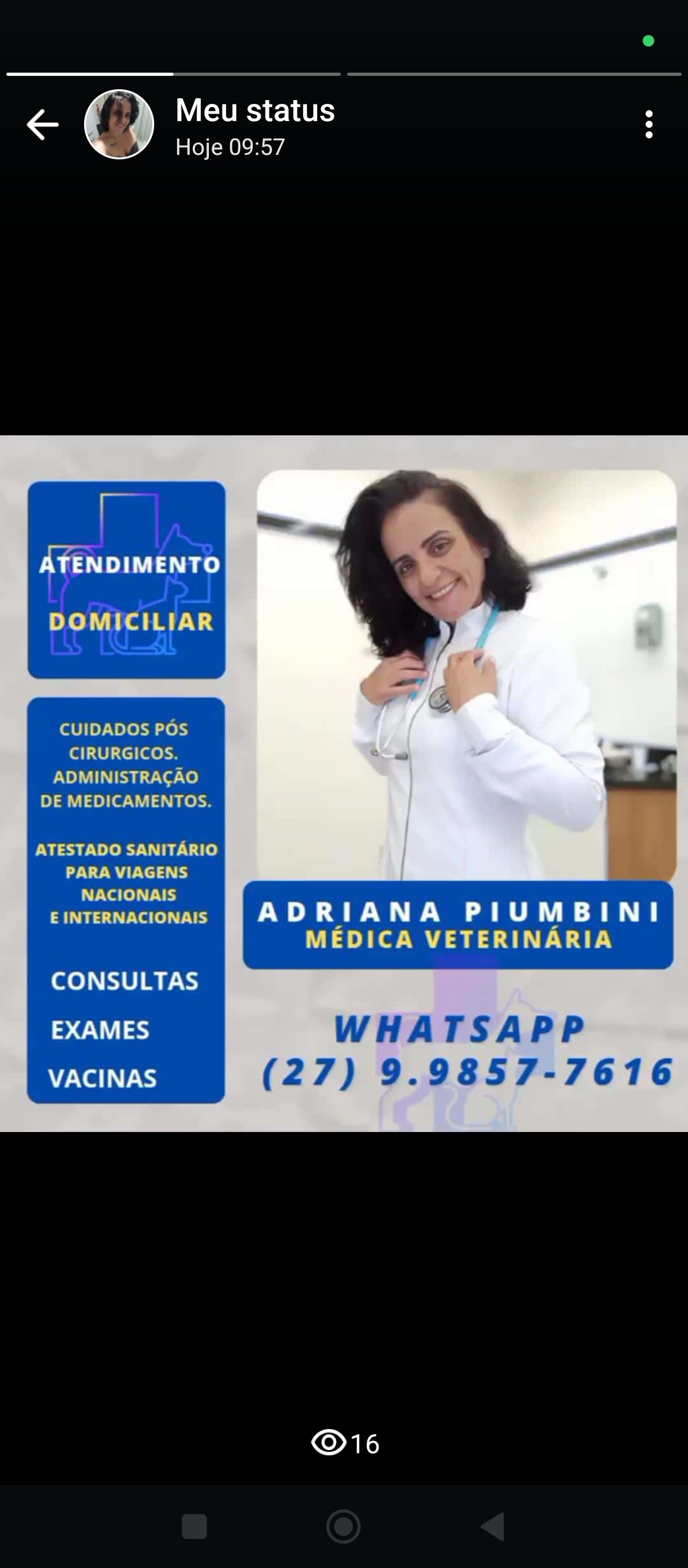 Dra. Adriana Piumbini, Veterinário a Domicílio em Vila Velha