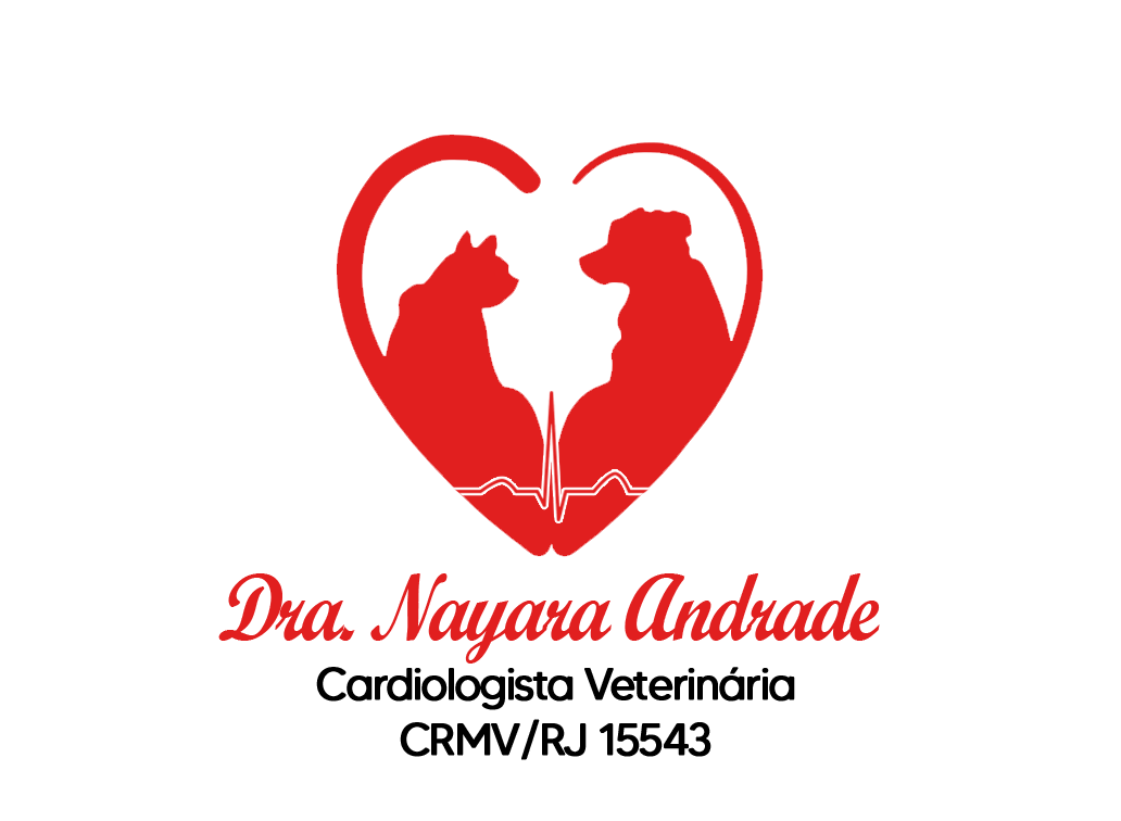 Dra. Nayara Andrade, Cardiologia em Rio de Janeiro