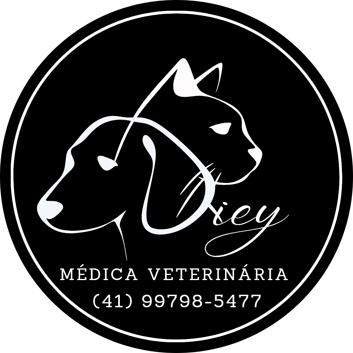 Dra. Diey (M.V. Dieyceni Vichineski), Veterinário a Domicílio em Curitiba