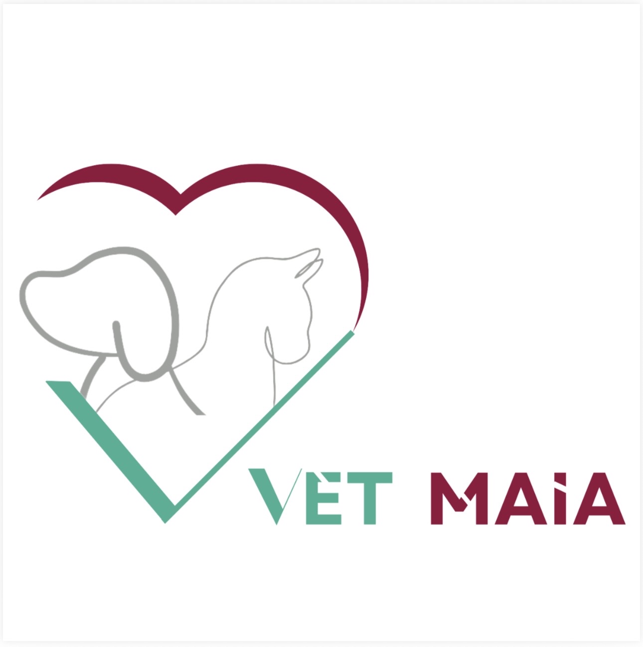 Vet Maia, Clínica com cirurgia em Guarulhos