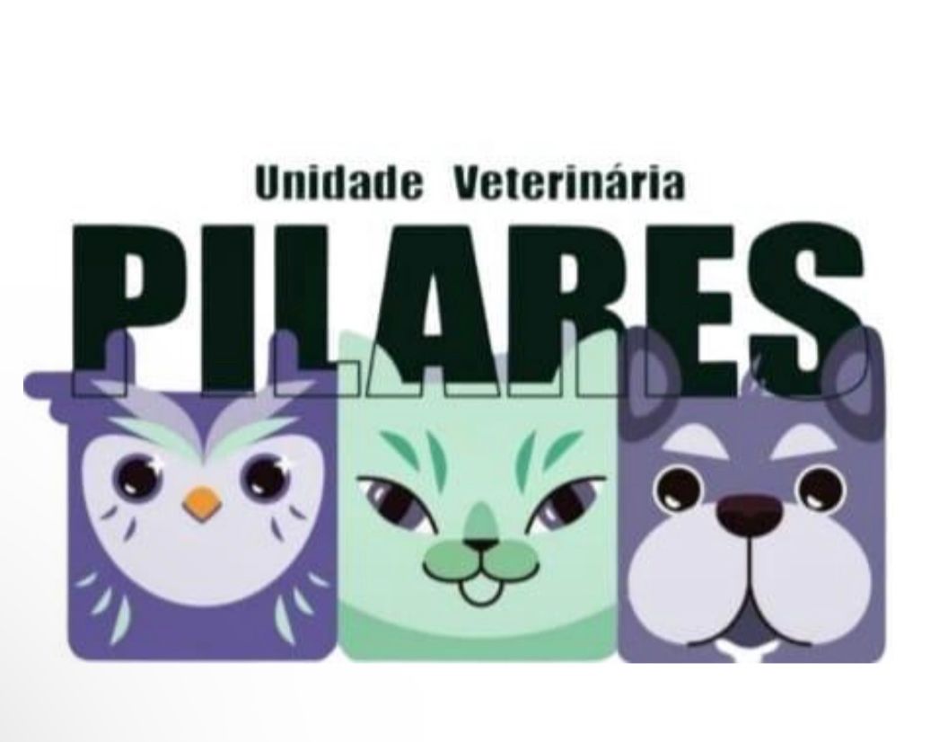 Pilares Vet, Clínica 24h em Sorocaba