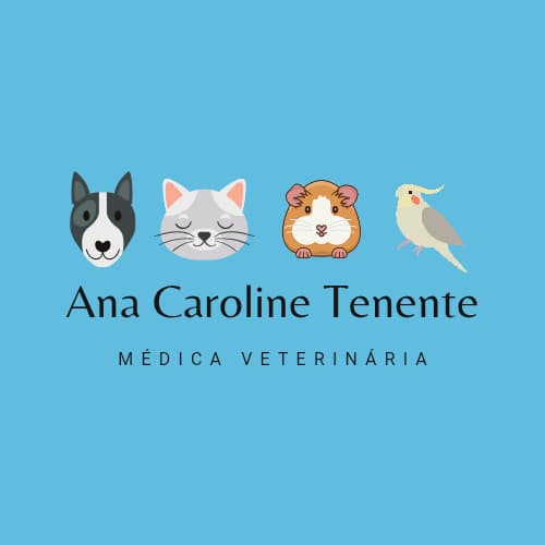 Dra. Ana Caroline Tenente, Veterinário a Domicílio em São João de Meriti
