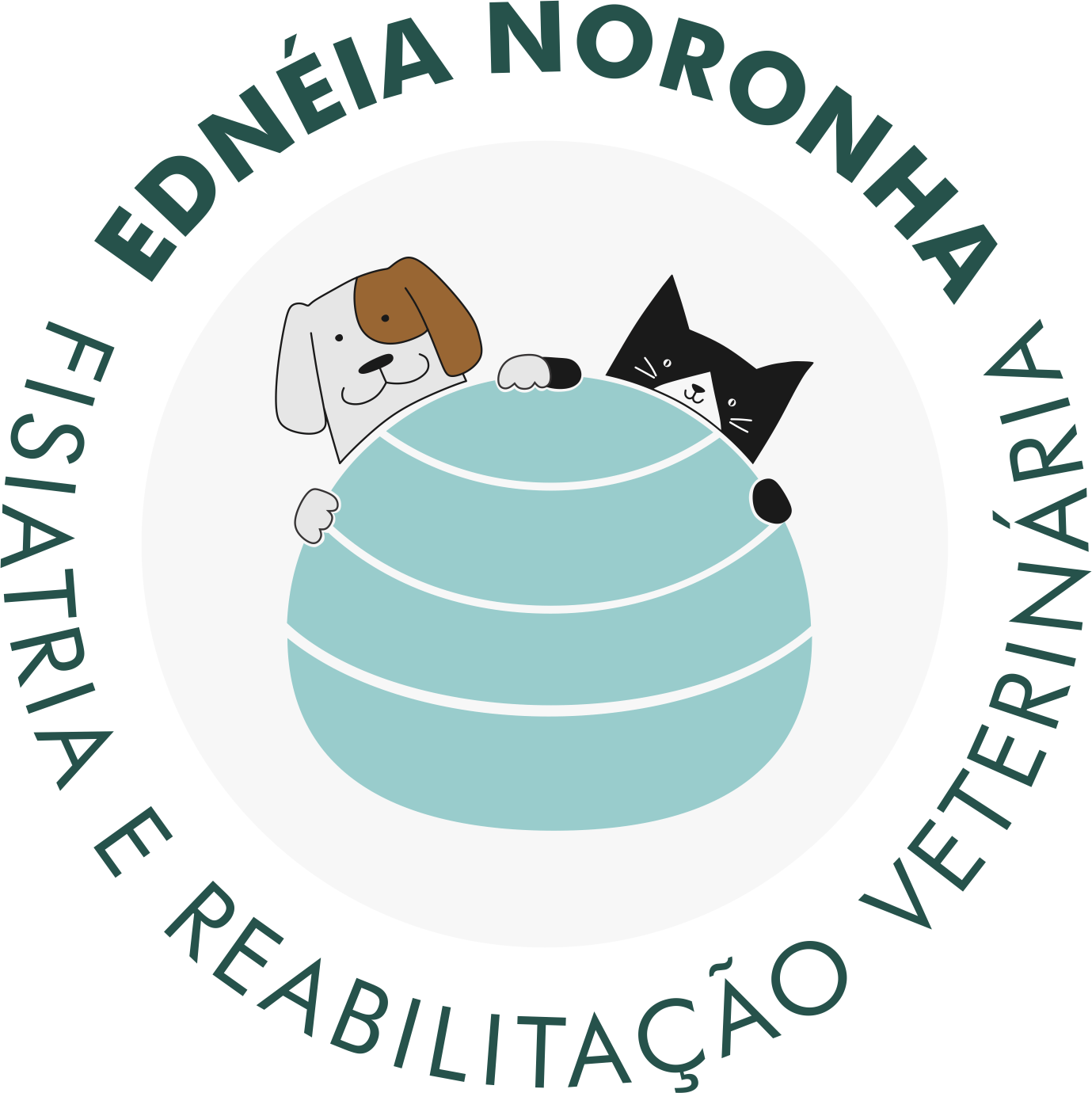 Dra. Ednéia Noronha, Fisio e/ou Acupuntura em São Paulo