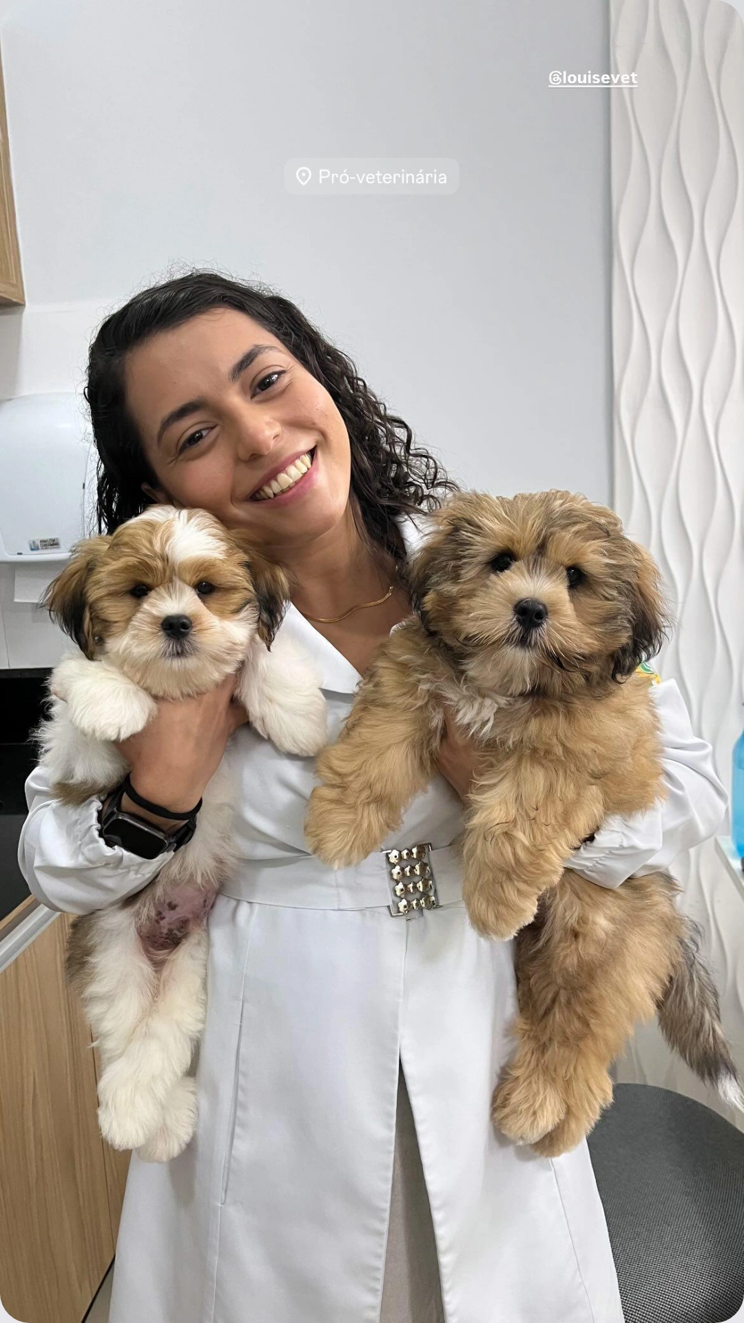 Dra. Maria Louise Santos, Veterinário a Domicílio em Parnamirim