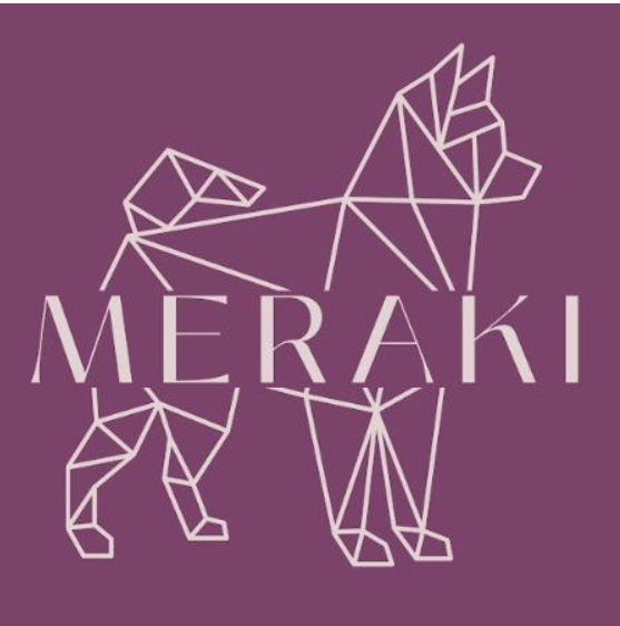MERAKI, Endoscopia em São Paulo