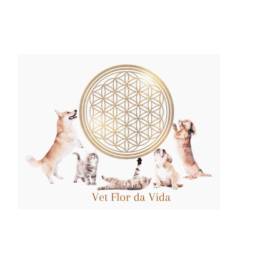 Dra. Michele Beividas, Ozônio + Laser em Santo André