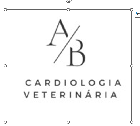 Dra. Ariane Bedeschi, Cardiologia em São Caetano do Sul