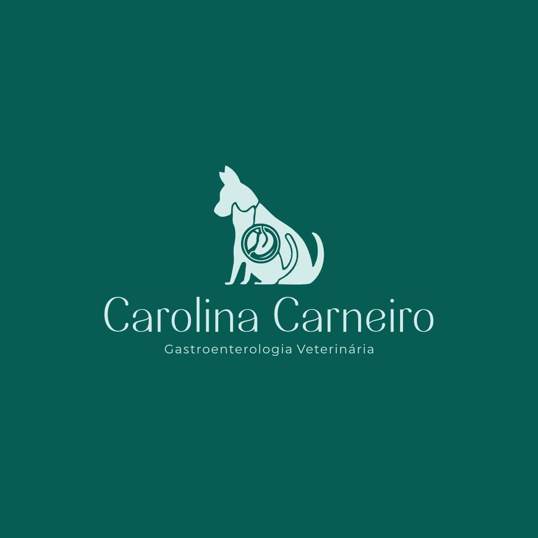 Dra. Carolina Carneiro, Gastroenterologia em Camboriú