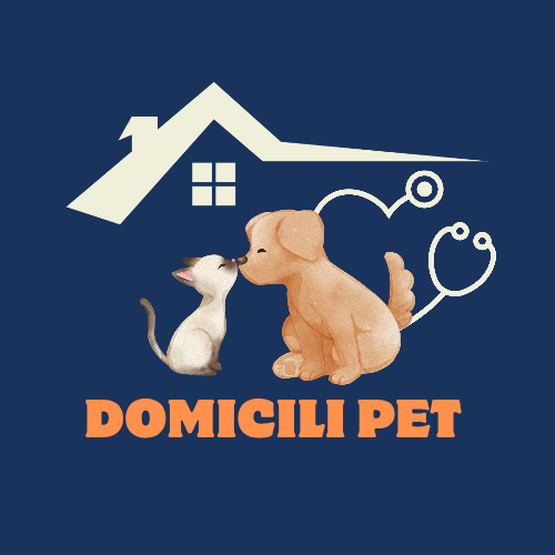 Dra. Lauryen Evelyn, Veterinário a Domicílio em Pouso Alegre