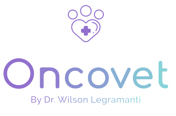 Dr. Wilson Legramanti, Oncologia em Balneário Camboriú