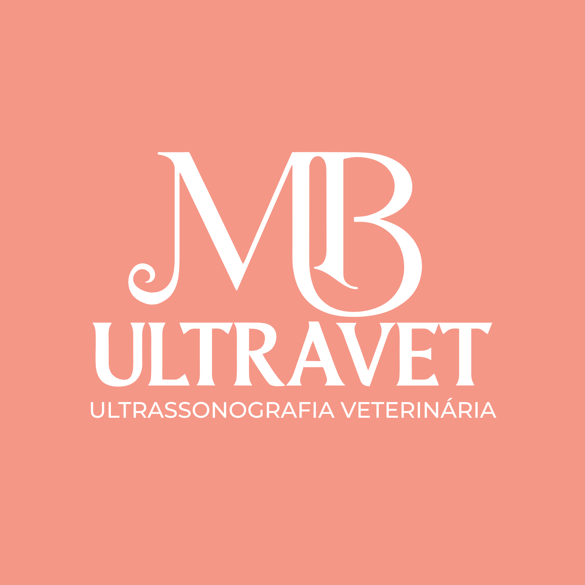 MB Ultravet, Ultrassom em Santa Maria