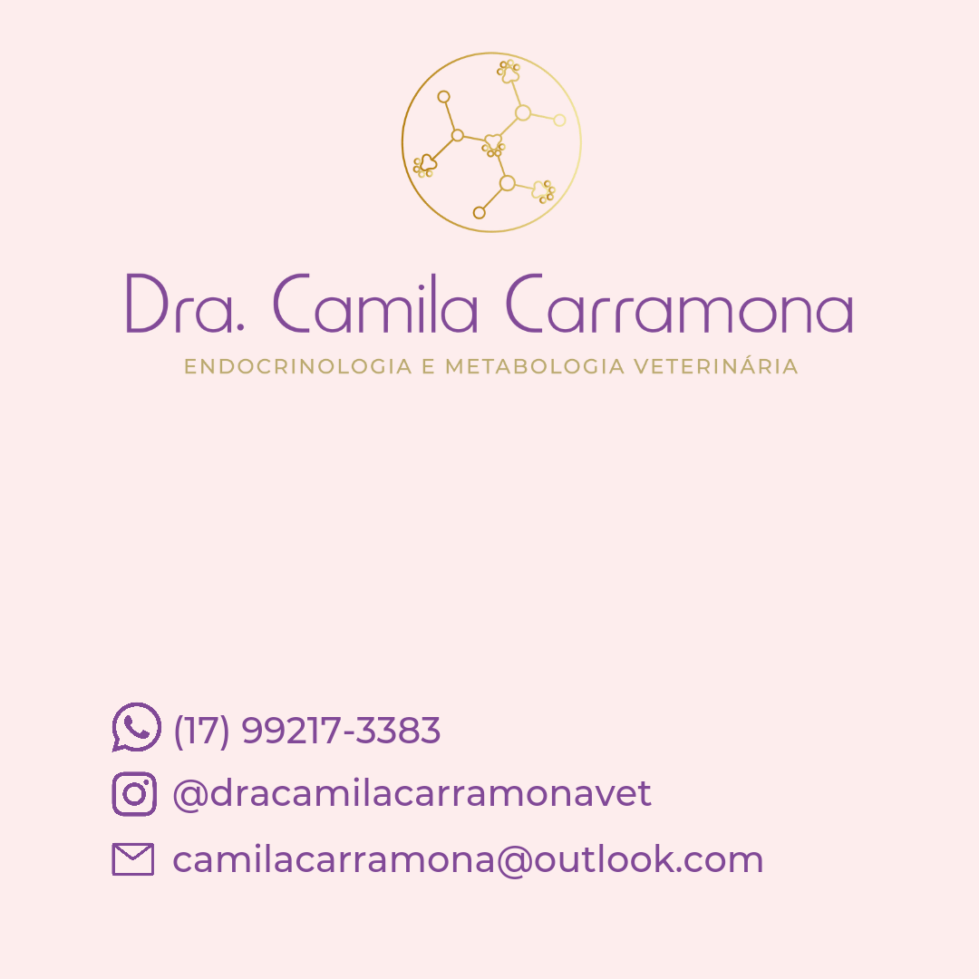 Dra. Camila Carramona, Endocrinologia em São José do Rio Preto