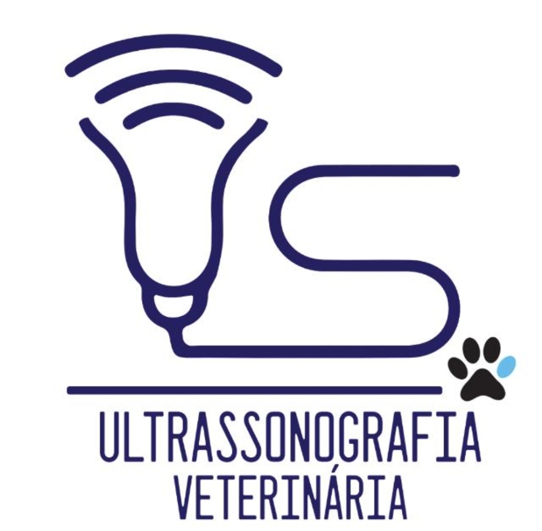 VS Ultrassonografia Veterinária, Ultrassom em Foz do Iguaçu
