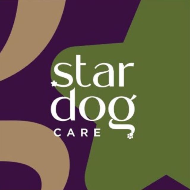 Stardog Care, Consultório em Balneário Camboriú