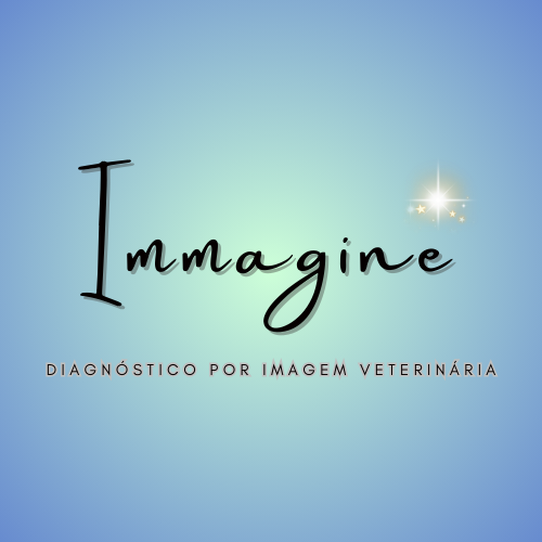 Dra. Victória Mafra, Ultrassom em Belém
